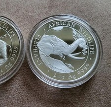2 Oz African Wildlife Elefant