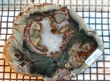 TOP Großer Achat mit hellem Amethyst LIERBACHTAL