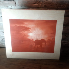 Holzkiste mit Deckel, Elefantendekor, Unterteilung verstellbar, 44,5x39x10cm