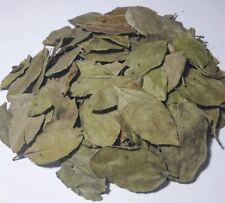 SIDR BLÄTTER - 100% natürlich Ziziphus Blätter 10 g Sıdr Yaprağı ورق السدر