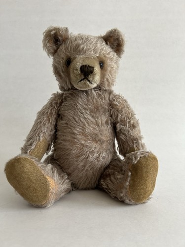 Teddy bär - teddy,
