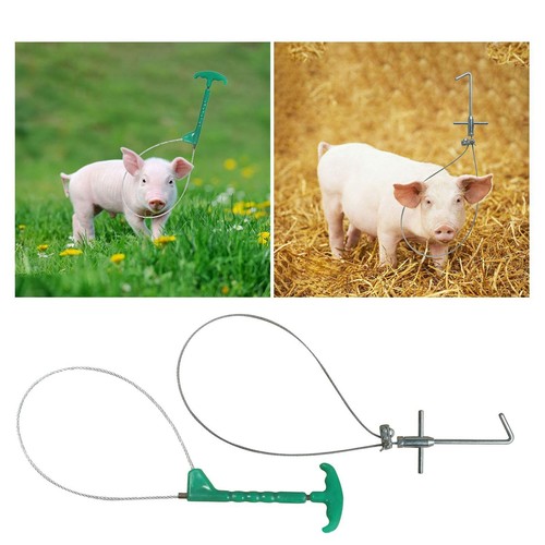 Schweinehalter fänger - schweinehalter,