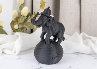 Zirkus elefant auf - auf, –