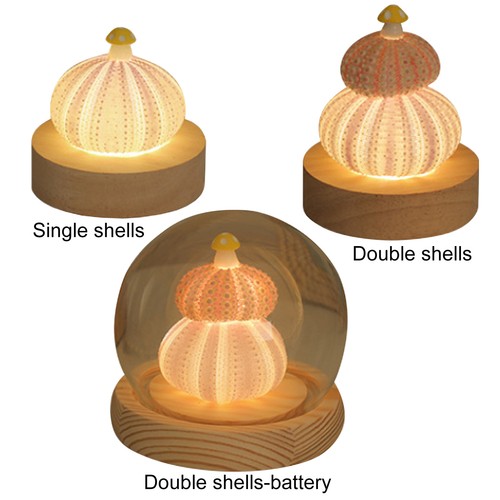 Muschel pilz lampe usb - muschel,
