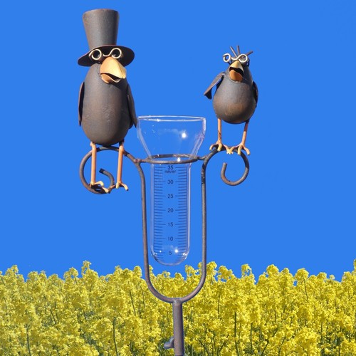 Regenmesser