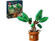 76433 ZAUBERTRANKPFLANZE