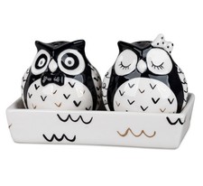 Salz und Pfefferstreuer Set