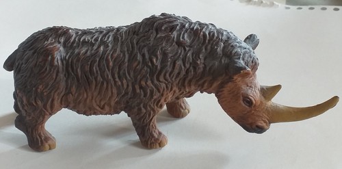 Wollnashorn coelodonta - wollnashorn, (coelodonta