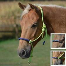 Busse Knotenhalfter Glint mit