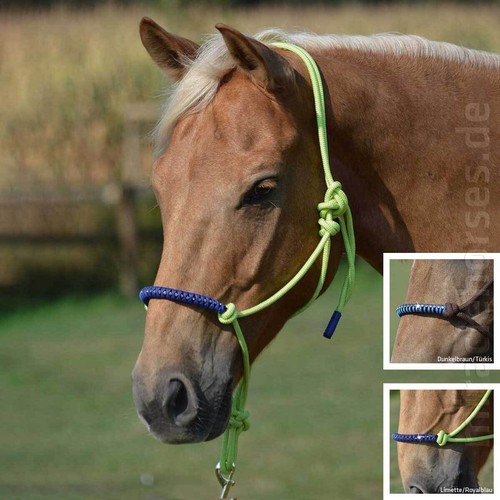 Busse knotenhalfter glint - busse, mit