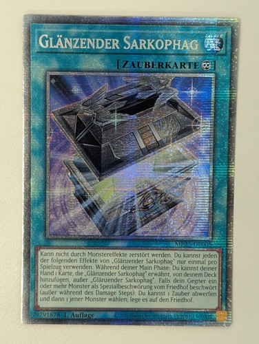 Glänzender sarkophag - glänzender,