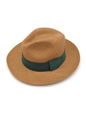 Equal Earth echter Panamahut