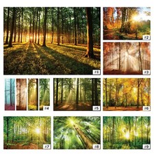 WALD NATUR BÄUME Vlies