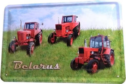 Blechschild 20x30 belarus ddr - 20x30,