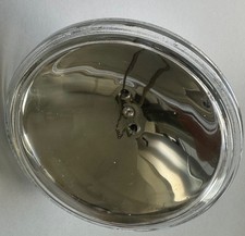 1x 12V 30W PAR 36 Federal