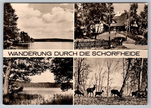 Postkarte schorfheide seen - postkarte,