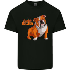 Ein englische bulldogge hund - ein,