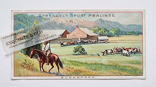 Sprengel pralinés hannover - pralinés,