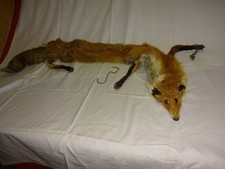 Echter Fuchs Pelz, Kragen, Schal, Stola, Fuchs Deko usw 135 cm