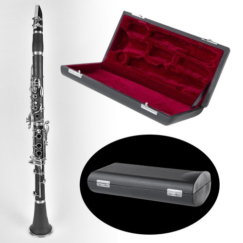 Klarinettenetui-Schutz