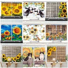 Sonnenblume bistrogardine - sonnenblume,