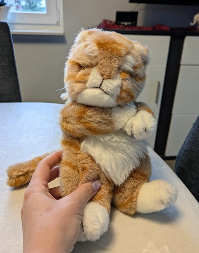 Katze baby tom tatze - "katze,