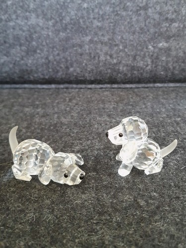 Set swarovski stück - set, beagle