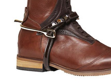 Mountain Horse Braun