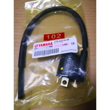 Genuine Ignition Coil Assy IGN