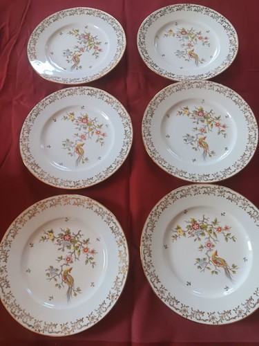 Edle limoges porzellanteller - limoges,