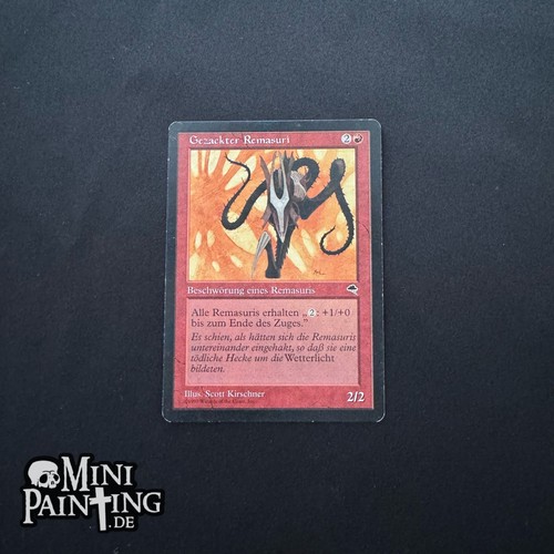 Magic the gathering - the,