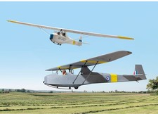 Plane Print Slingsby T31 Cadet