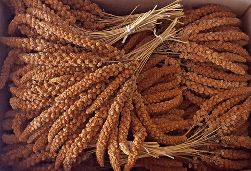 Kolbenhirse rot 2kg