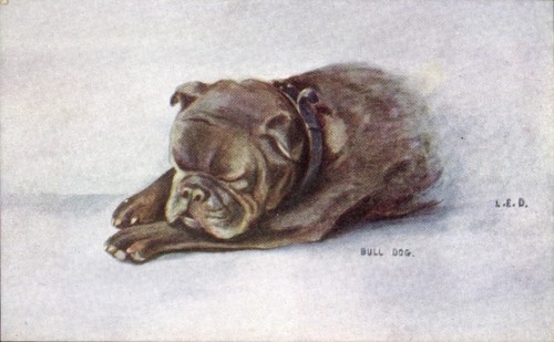 Künstler schlafender hund - ak,