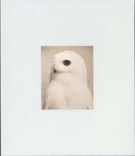 Masao yamamoto fotobuch - masao,