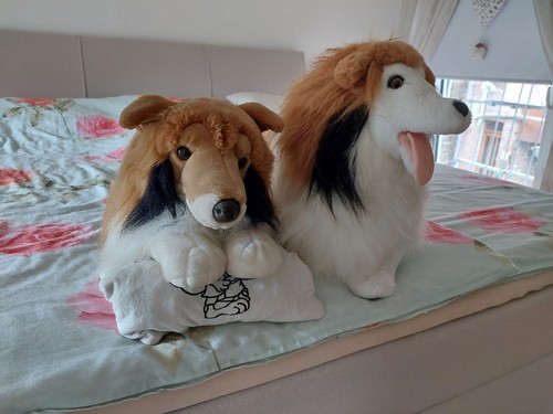Collies stofftiere 2 - (,
