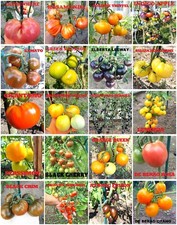 Tomatensamen Mix Set 20 Sorten