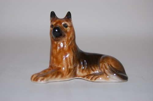 Schäferhund hund liegend - ,