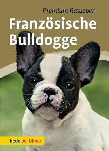 Französische bulldogge - französische,