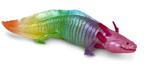Safari ltd 110487 regenbogen - ltd,
