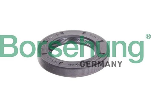 Borsehung wellendichtring - borsehung,
