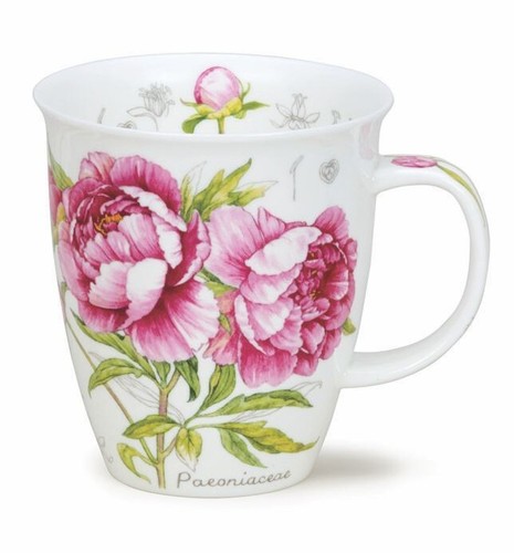 Dunoon tasse teetasse - dunoon,