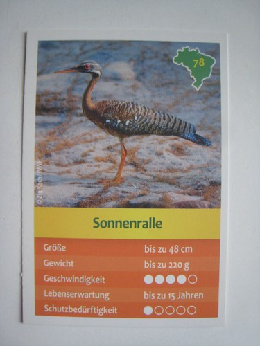 Entdecke brasilien - entdecke,