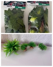 🌟 SET Terrarium Schöne