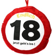 1 PLÜSCH KISSEN 18