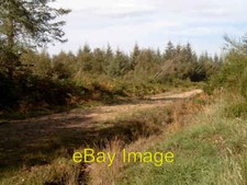 Foto 6x4 Inshoch Wood