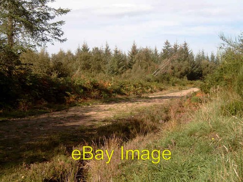 Foto 6x4 inshoch holz - 6x4,