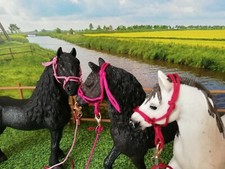 Barock Knotenhalfter Halfter