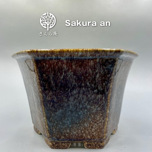 Japanischer bonsai topf aiba - bonsai,