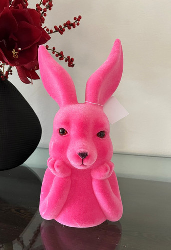 Hase büste denkend - hase,